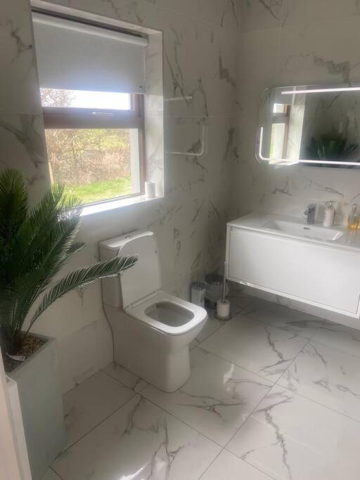 Modern Apartment At Croagh Patrick ウェストポート エクステリア 写真